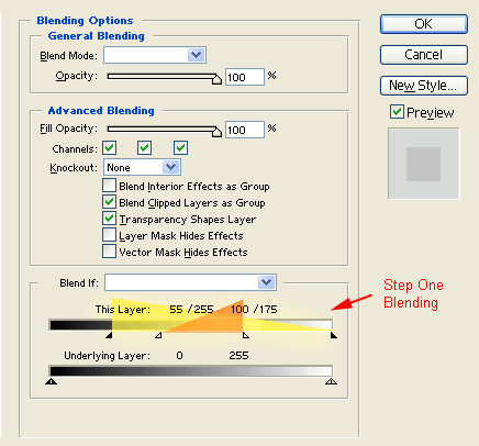 Step One Blending Settings