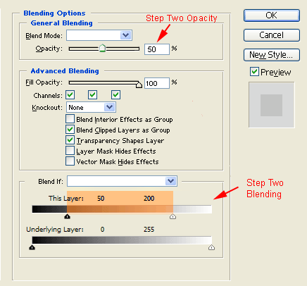 Step Two Blending Settings