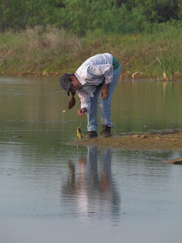 Catch & release