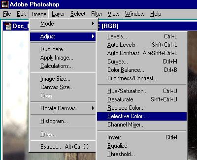 Choose "Adjust / Selective Color"