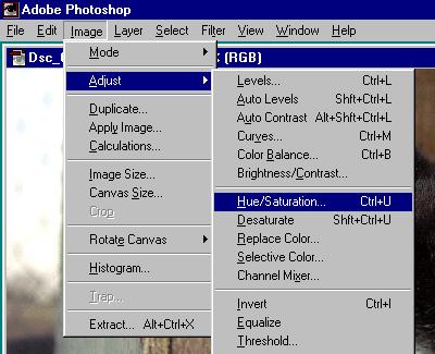 Then Choose "Adjust / Hue/Saturation"