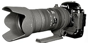 D1 with Sigma 50-500mm Zoom Lens @ 50mm