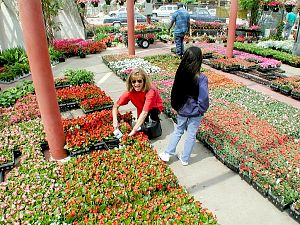 At the Dallas Farmer's Market